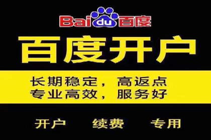 深度解析：百度竞价广告的投放效果与ROI